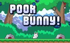 Poor Bunny