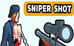 Sniper Shot: Bullet Time